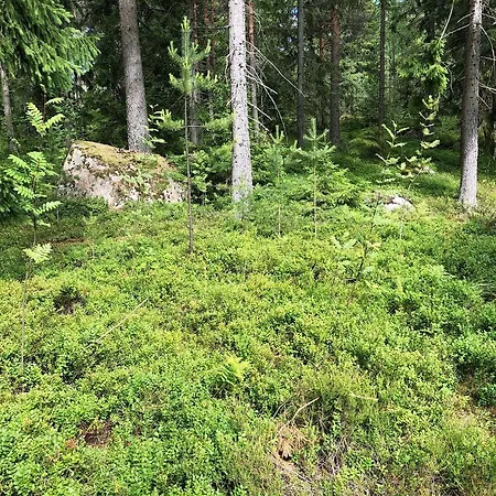 빌라 Honeyhill Karhu Isnäs