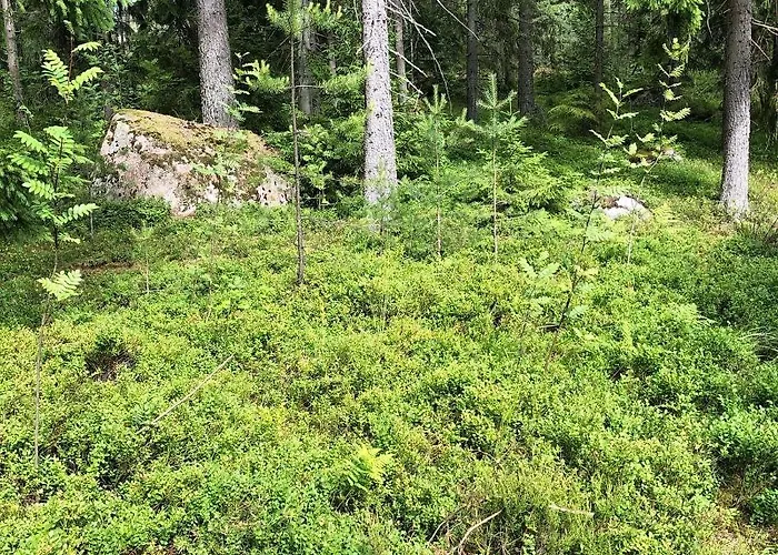 Villa Honeyhill Karhu Isnäs